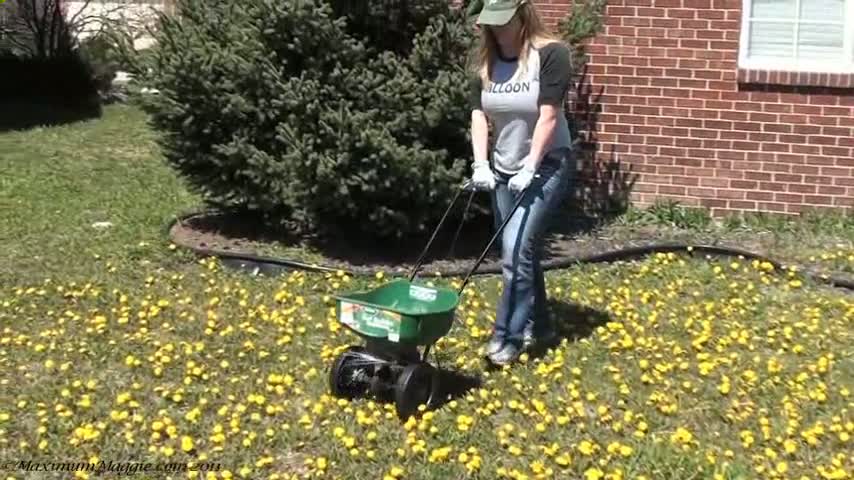 Maggie Green Videos